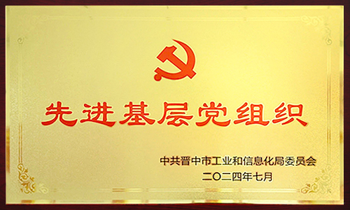 2024年先進基層黨組織